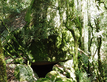 body painting de tornade, personnage marvel et comics faisant partie des x men. Bodypainting super heros realise pour un defile de marvel