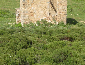 body painting de tornade, personnage marvel et comics faisant partie des x men. Bodypainting super heros realise pour un defile de marvel