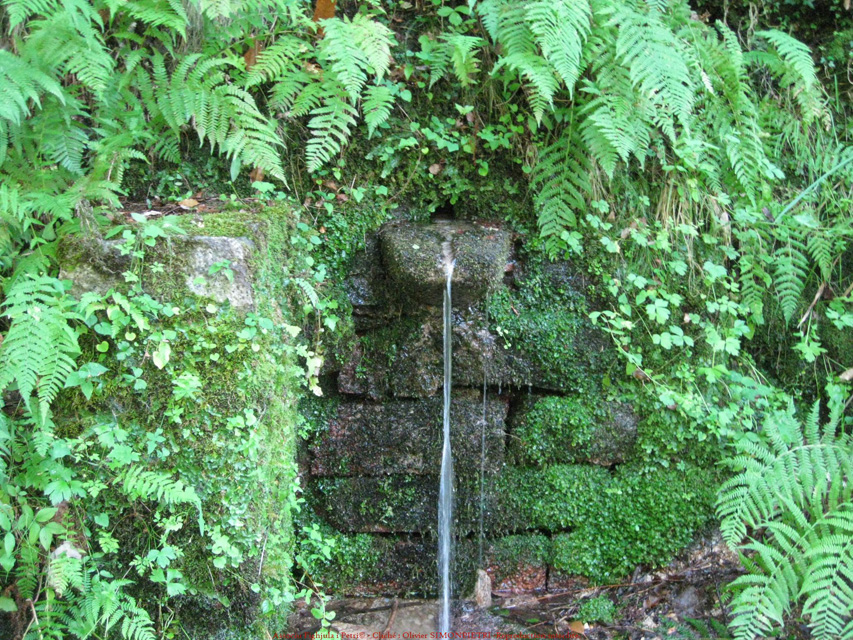 body painting de tornade, personnage marvel et comics faisant partie des x men. Bodypainting super heros realise pour un defile de marvel