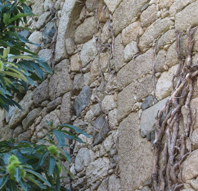 body painting de tornade, personnage marvel et comics faisant partie des x men. Bodypainting super heros realise pour un defile de marvel