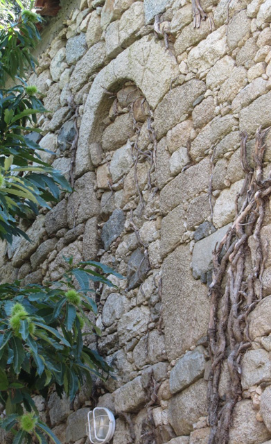 body painting de tornade, personnage marvel et comics faisant partie des x men. Bodypainting super heros realise pour un defile de marvel