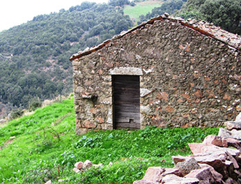 body painting de tornade, personnage marvel et comics faisant partie des x men. Bodypainting super heros realise pour un defile de marvel