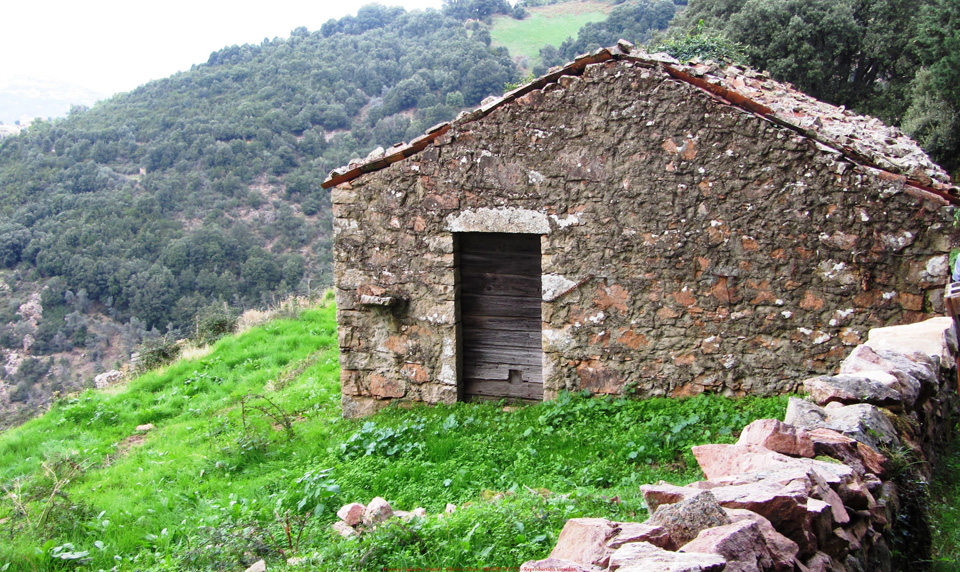 body painting de tornade, personnage marvel et comics faisant partie des x men. Bodypainting super heros realise pour un defile de marvel