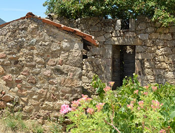 body painting de tornade, personnage marvel et comics faisant partie des x men. Bodypainting super heros realise pour un defile de marvel