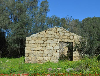 body painting de tornade, personnage marvel et comics faisant partie des x men. Bodypainting super heros realise pour un defile de marvel