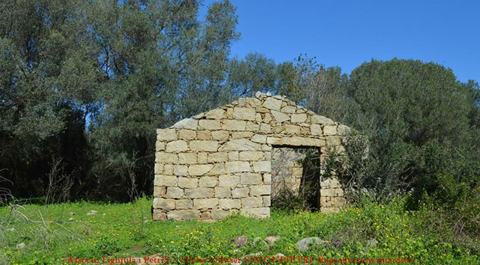 body painting de tornade, personnage marvel et comics faisant partie des x men. Bodypainting super heros realise pour un defile de marvel