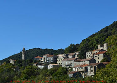 body painting de tornade, personnage marvel et comics faisant partie des x men. Bodypainting super heros realise pour un defile de marvel