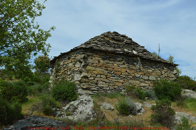 body painting de tornade, personnage marvel et comics faisant partie des x men. Bodypainting super heros realise pour un defile de marvel