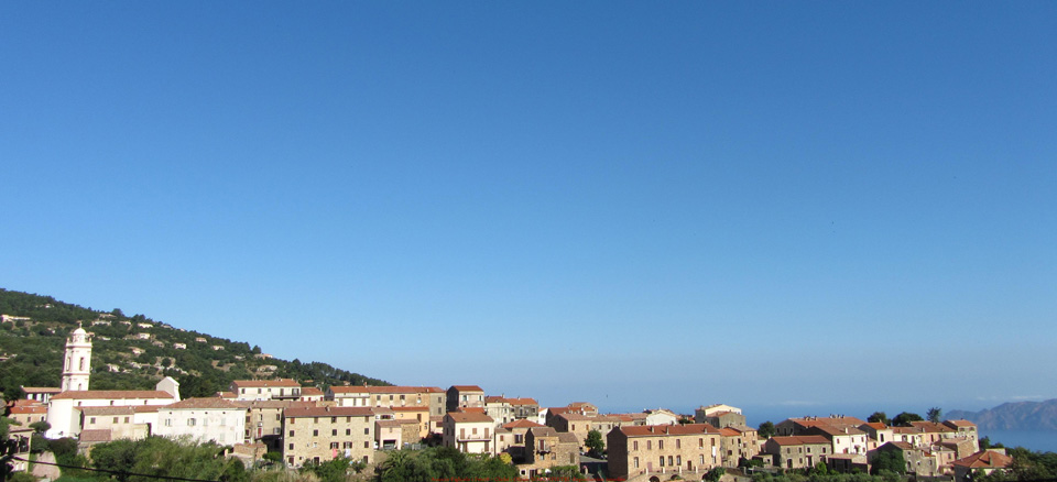 body painting de tornade, personnage marvel et comics faisant partie des x men. Bodypainting super heros realise pour un defile de marvel