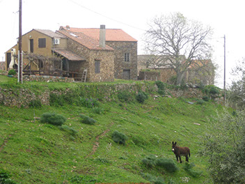 body painting de tornade, personnage marvel et comics faisant partie des x men. Bodypainting super heros realise pour un defile de marvel