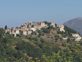 body painting de tornade, personnage marvel et comics faisant partie des x men. Bodypainting super heros realise pour un defile de marvel