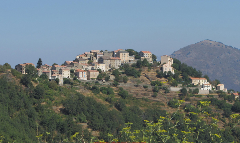 body painting de tornade, personnage marvel et comics faisant partie des x men. Bodypainting super heros realise pour un defile de marvel